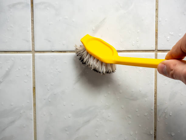 Best Same-Day Mold Removal  in Newark, IL