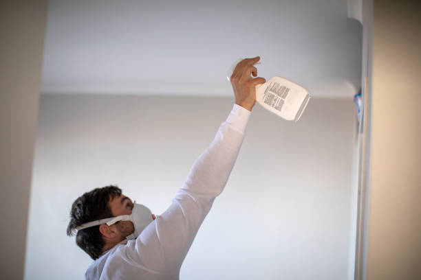 Best Mold Cleaning Services  in Newark, IL