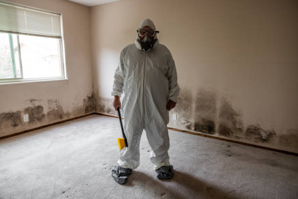 Best Fast Mold Removal  in Newark, IL